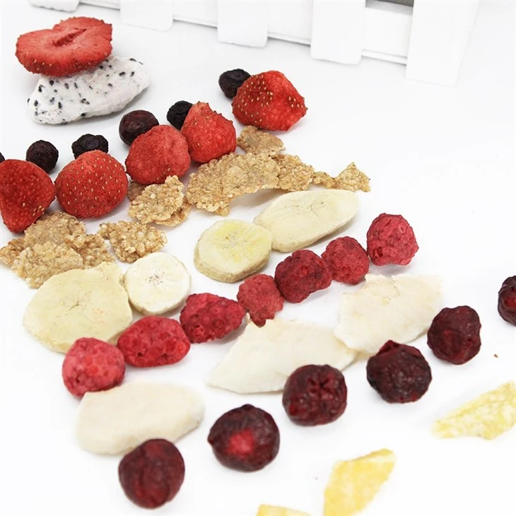 Dried Fruit Snacks