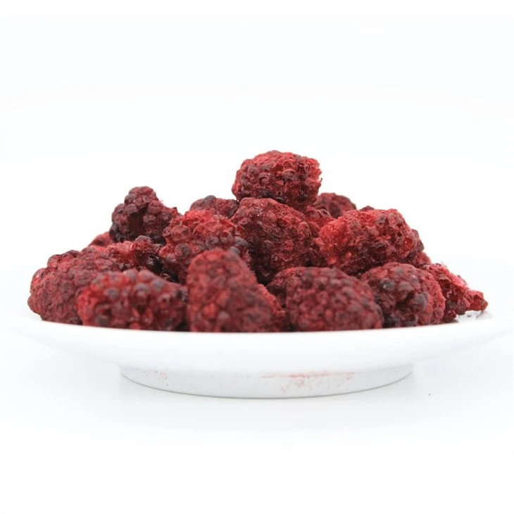 Freeze Dried Blackberries Bulk